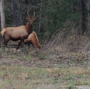 Meet your Posher, Paul